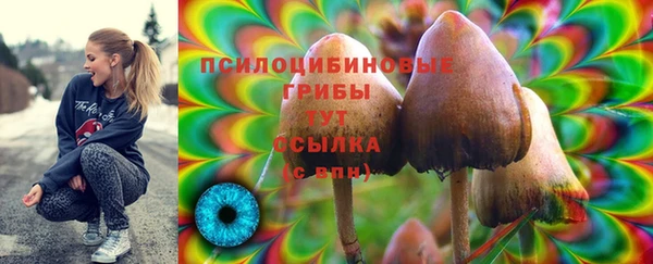 бошки Наволоки