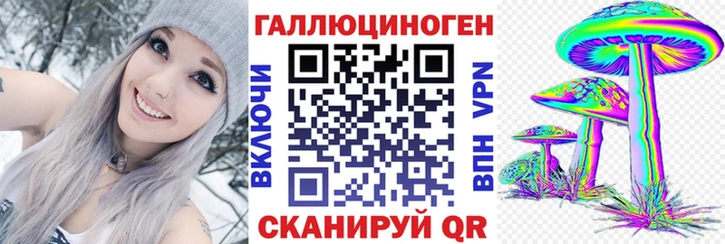 Псилоцибиновые грибы Psilocybine cubensis площадка Telegram Отрадное